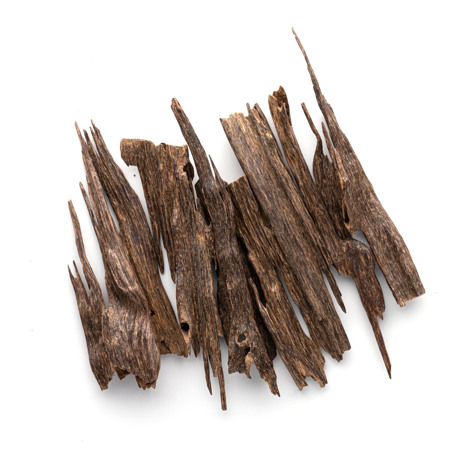 Oud zora nagaland